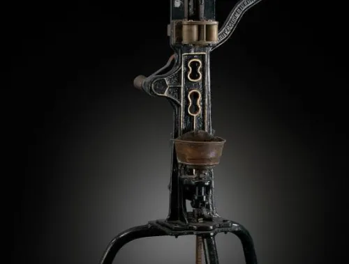 Foto: H. Maertens